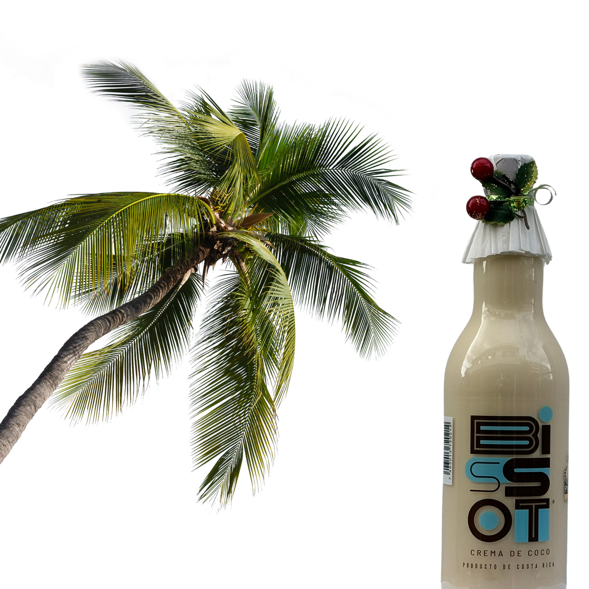 Bissot Crema de Coco 500 ml